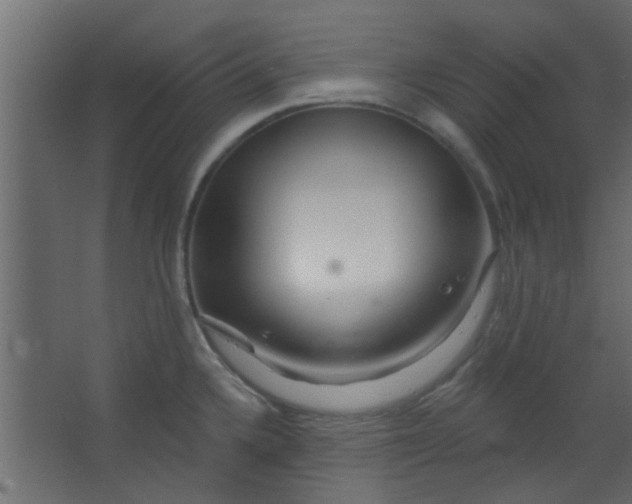 X0000067531336200604211834