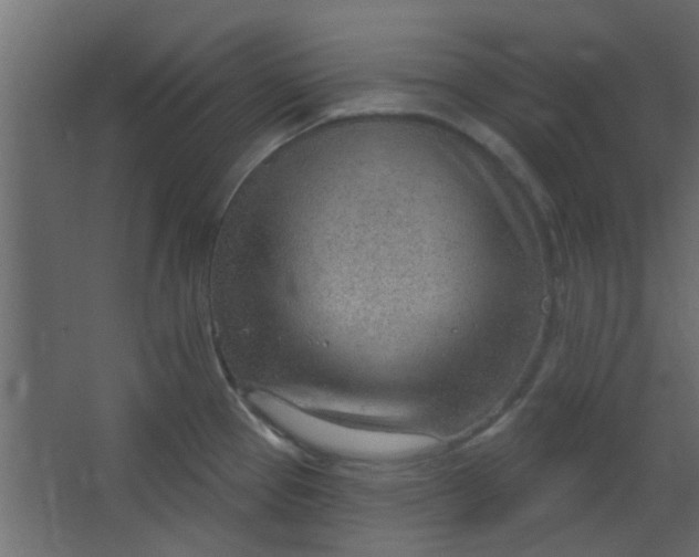 X0000067531337200604211834