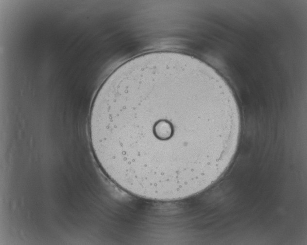 X0000067531338200604211834