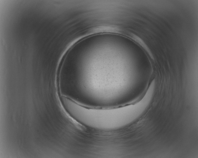 X0000067531339200604211834