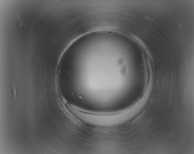 X0000067531340200604211834