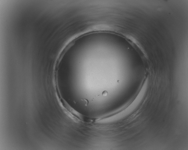 X0000067531342200604211834