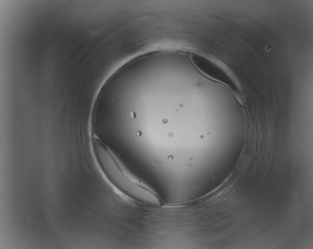 X0000067531343200604211834