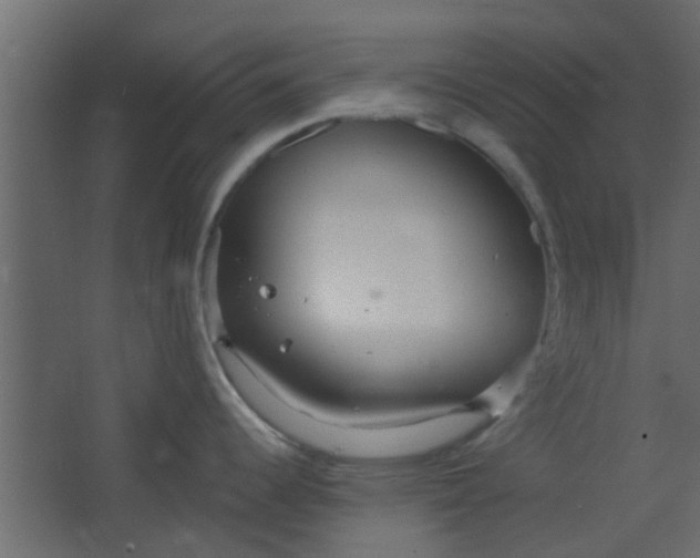 X0000067531344200604211834