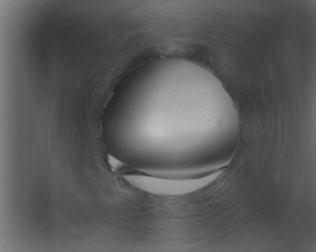 X0000067531345200604211833