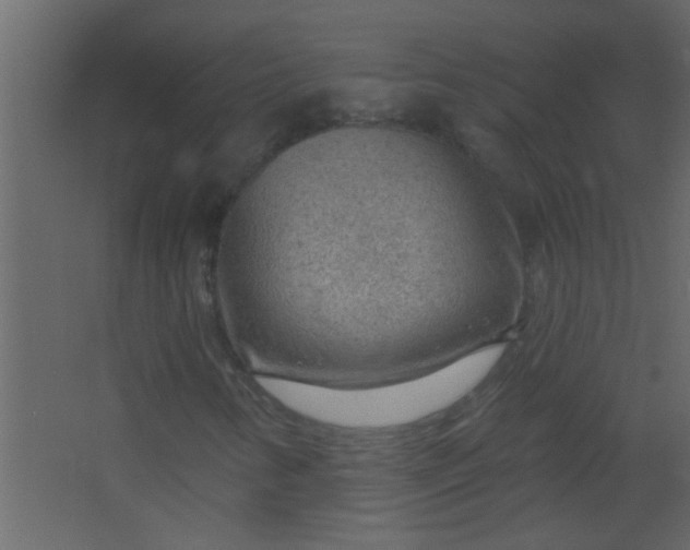 X0000067531346200604211833