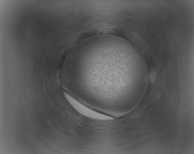 X0000067531347200604211833