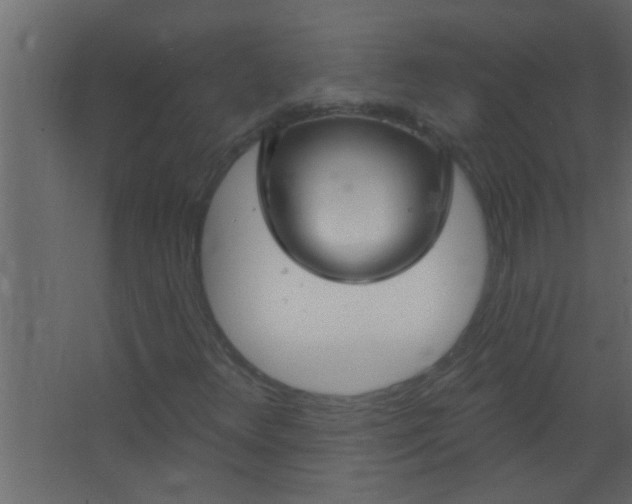 X0000067531348200604211833