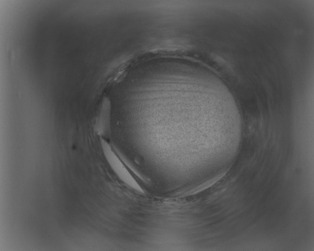 X0000067531350200604211833