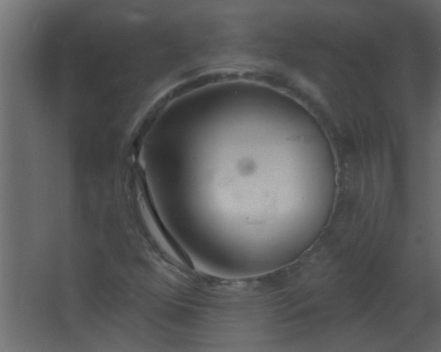 X0000067531352200604211833