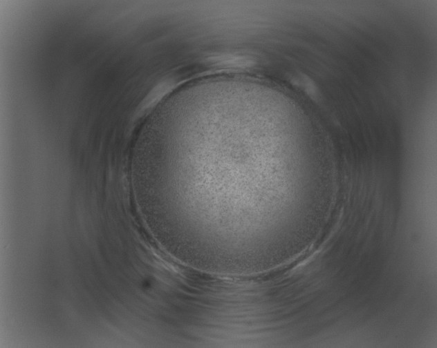 X0000067531354200604211833