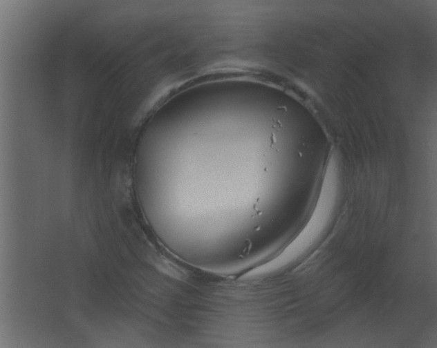 X0000067531355200604211833