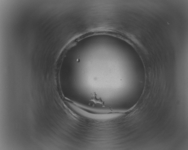 X0000067531356200604211833