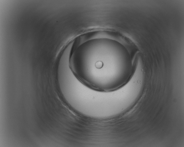 X0000067531357200604211833