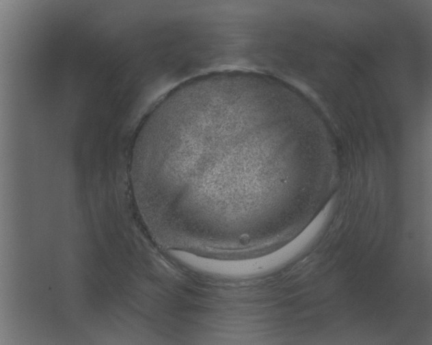 X0000067531359200604211833