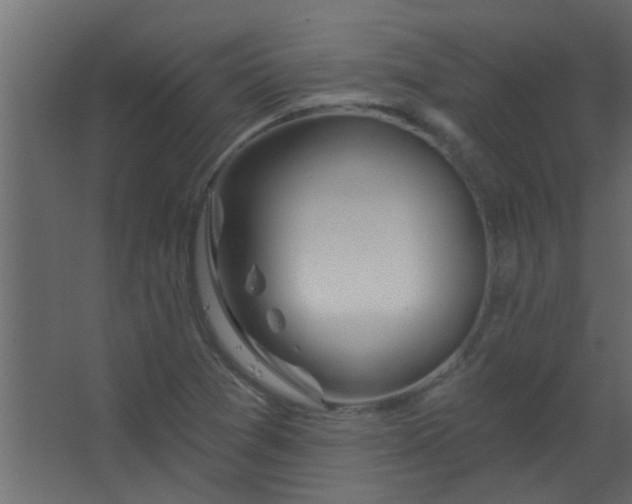 X0000067531361200604211833