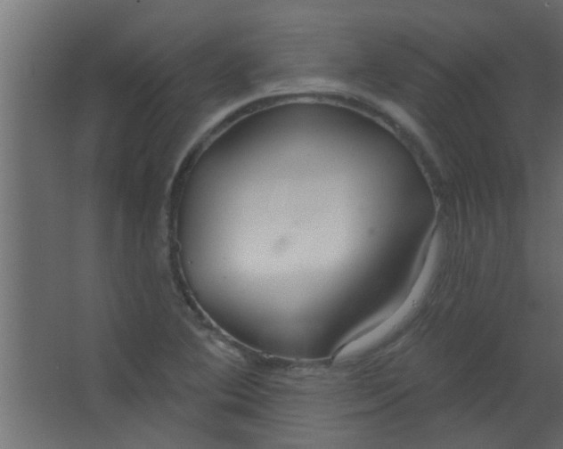 X0000067531364200604211833