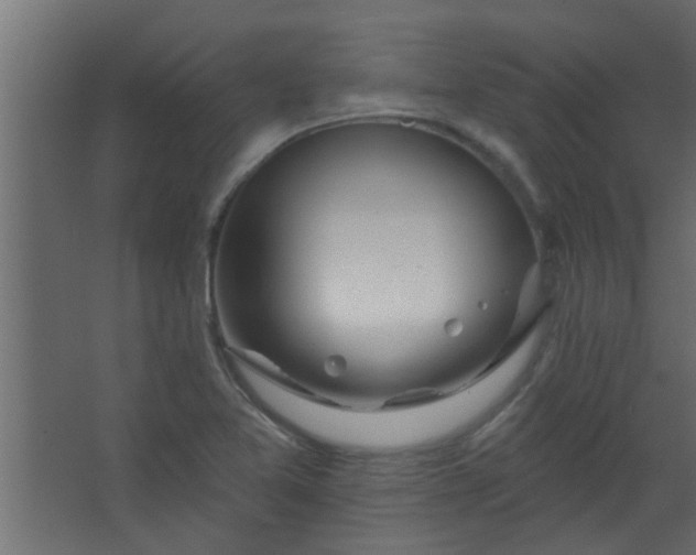 X0000067531365200604211833