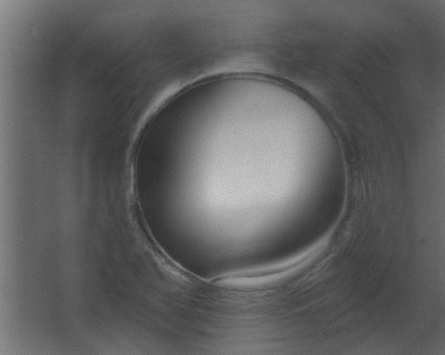 X0000067531366200604211832