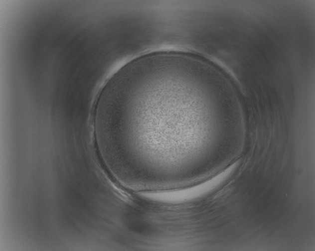 X0000067531367200604211832