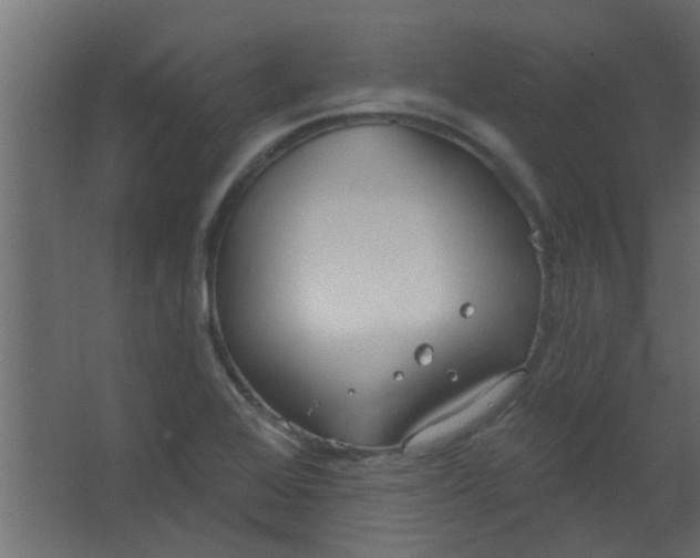 X0000067531368200604211832