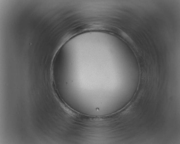 X0000067531370200604211832