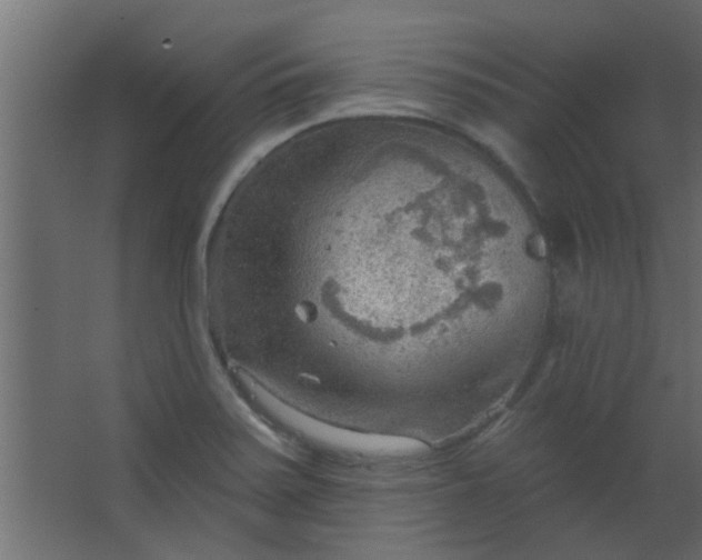 X0000067531371200604211832