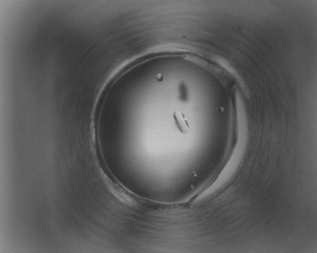 X0000067531372200604211832