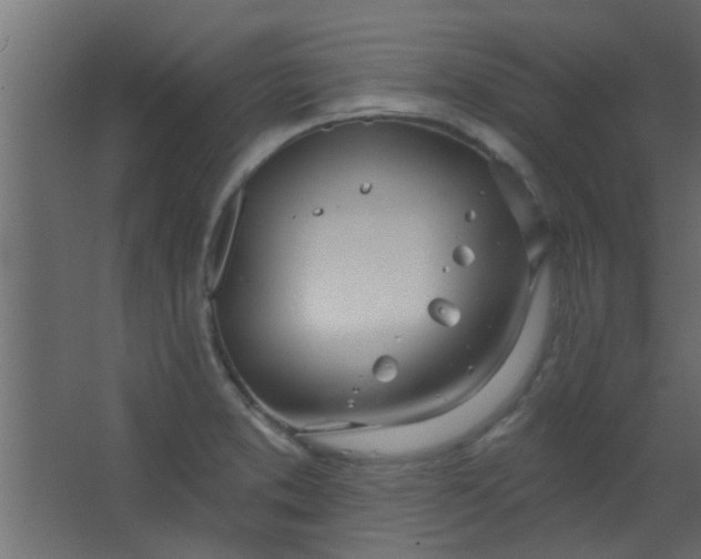 X0000067531373200604211832