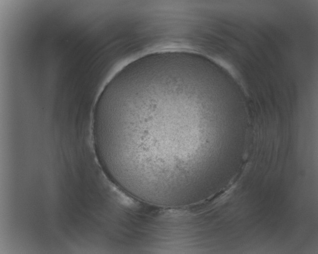 X0000067531374200604211832