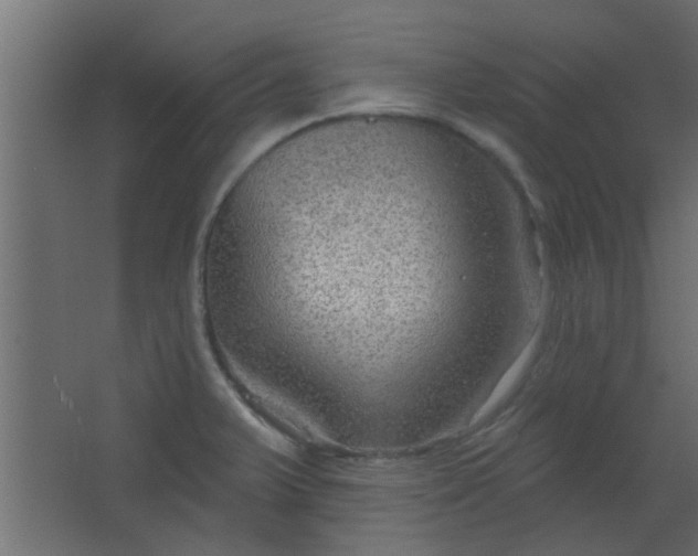 X0000067531375200604211832