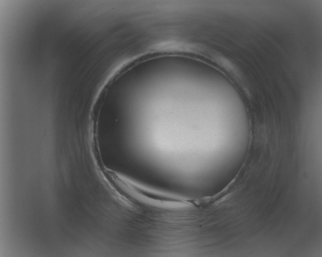 X0000067531376200604211832