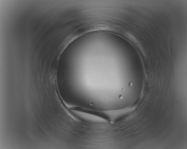 X0000067531377200604211832