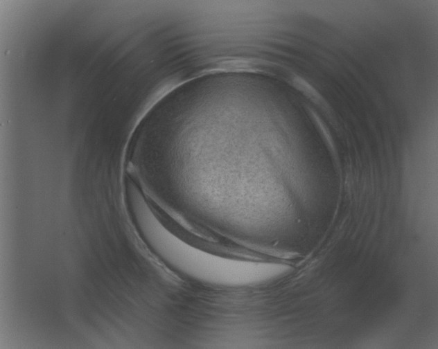 X0000067531378200604211832