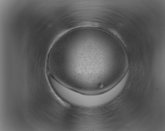 X0000067531379200604211832