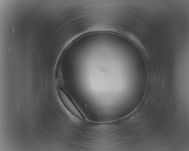 X0000067531380200604211832