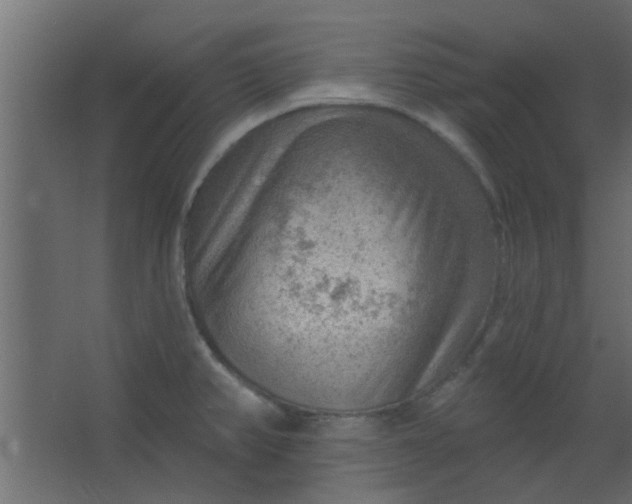 X0000067531382200604211832