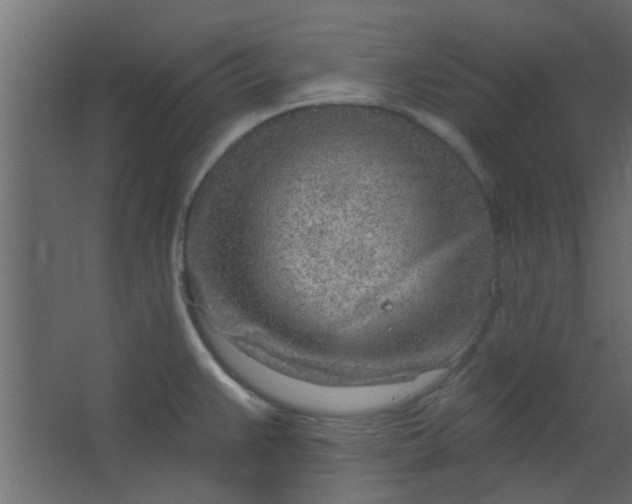 X0000067531383200604211832