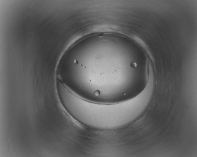 X0000067531384200604211832