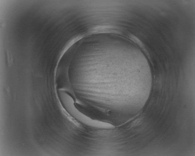 X0000067531386200604211832