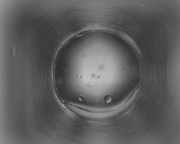 X0000067531388200604211832