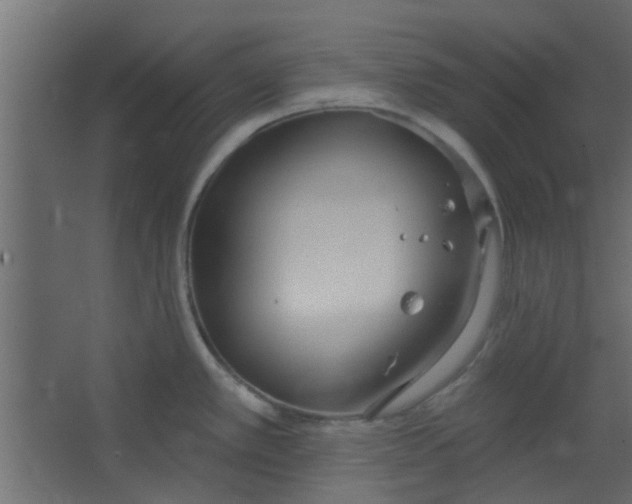 X0000067531389200604211832