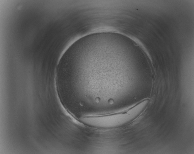 X0000067531390200604211832