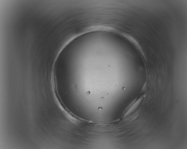 X0000067531391200604211832