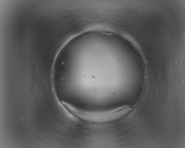 X0000067531392200604211832