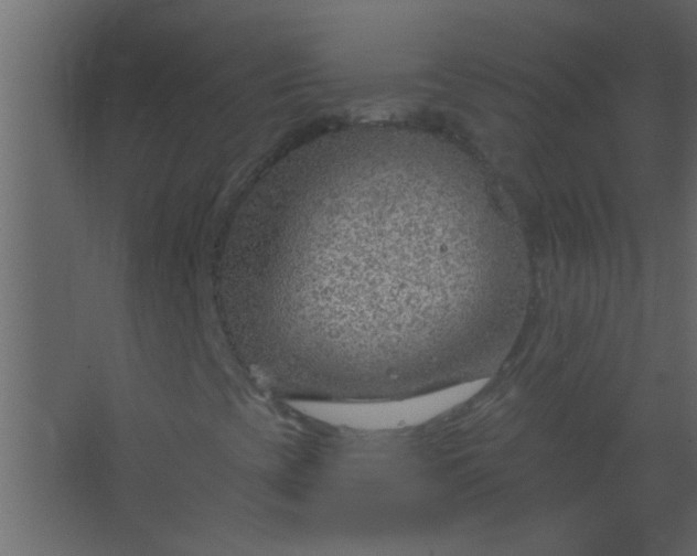 X0000067531393200604211831