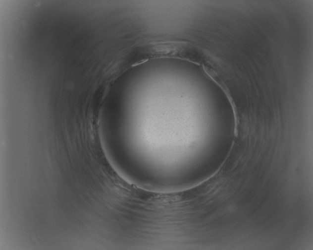 X0000067531394200604211831