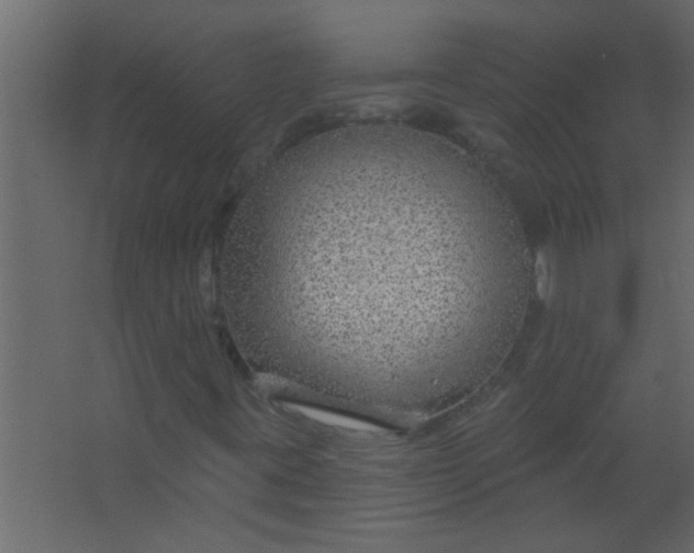 X0000067531395200604211831