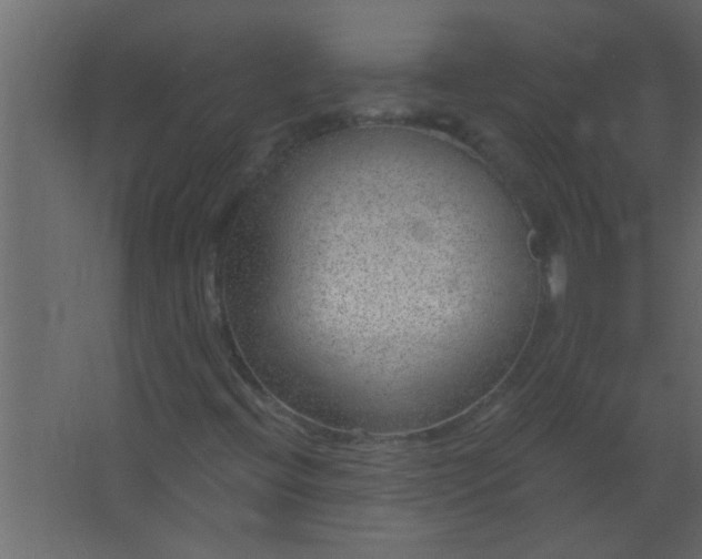 X0000067531396200604211831