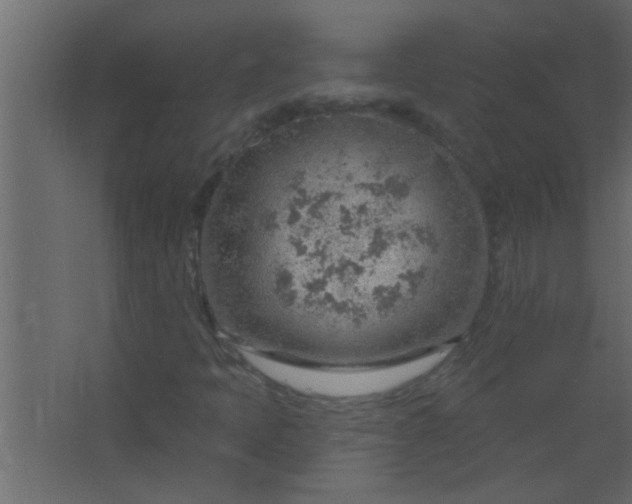 X0000067531397200604211831